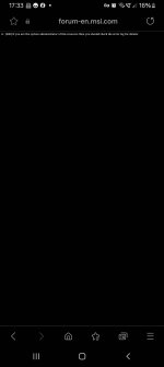 Screenshot_20241202_173308_Samsung Internet.jpg