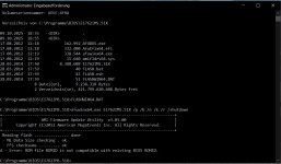 BIOS FLASH FLASHWIN64 error.jpg