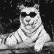 Tigerjan